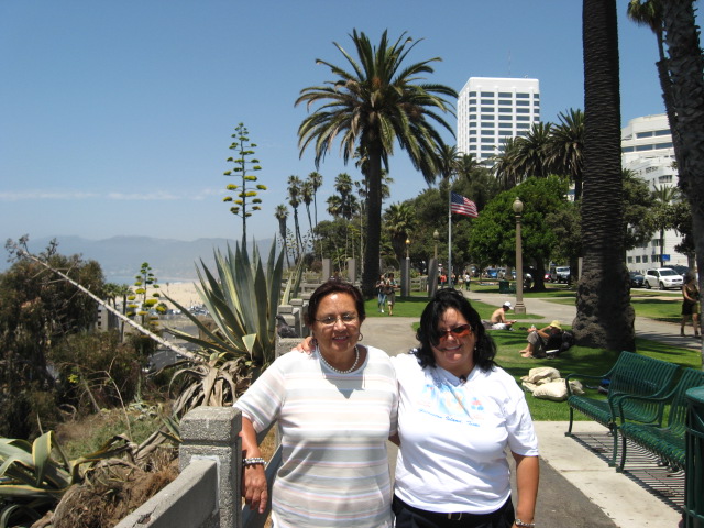 617x456 pixels (141K)